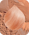 COPPER BLONDE