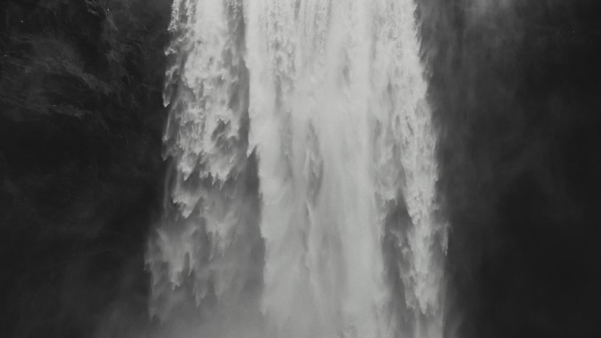 ECOHEADS Showerhead SP web banner