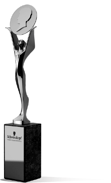 2017 Award - Ecoheads.com.au