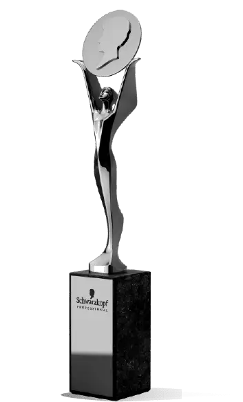 award- 2017